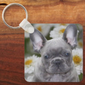 Französische Bulldogge niedlich French Bulldog Schlüsselanhänger (Vorderseite)