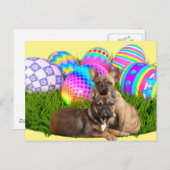Französische Bulldogge Osterkarte Postkarte (Vorne/Hinten)