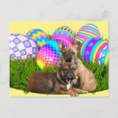 Französische Bulldogge Osterkarte Postkarte (Vorderseite)