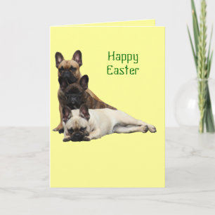 Französische Bulldogge Ostern French Bulldog Feiertagskarte