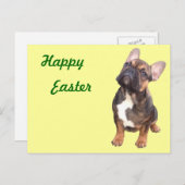 Französische Bulldogge Ostern French Bulldog Feiertagspostkarte (Vorne/Hinten)