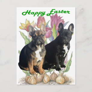 Französische Bulldogge Ostern French Bulldog Postkarte