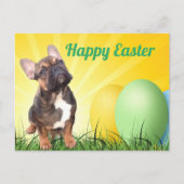 französische Bulldogge Ostern French Bulldog  Postkarte (Vorderseite)