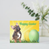 französische Bulldogge Ostern French Bulldog  Postkarte (Stehend Vorderseite)