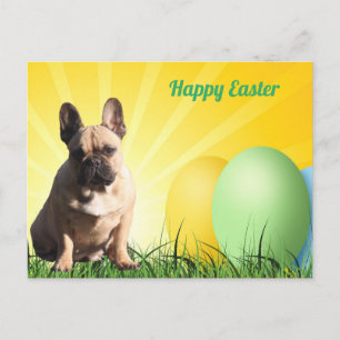französische Bulldogge Ostern French Bulldog  Postkarte