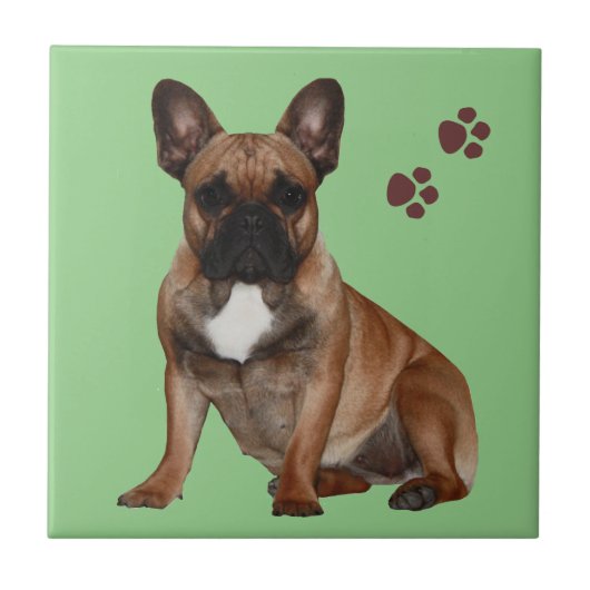 Französische Bulldogge Pfote French Bulldog Fliese (Vorderseite)