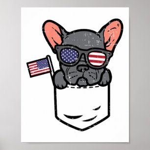 Französische Bulldogge Pocket Frenchie Amerikanisc Poster