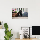 Französische Bulldogge Poster (Heimbüro)