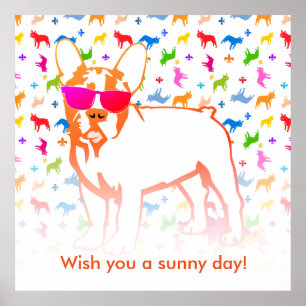 Französische Bulldogge Poster