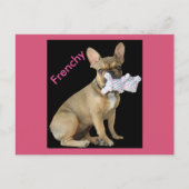 Französische Bulldogge Postkarte (Vorderseite)