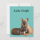 Französische Bulldogge Postkarte (Vorderseite)