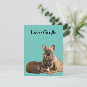 Französische Bulldogge Postkarte