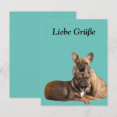Französische Bulldogge Postkarte (Vorne/Hinten)