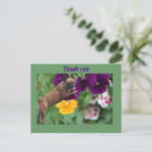 Französische Bulldogge Postkarte (Stehend Vorderseite)