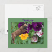 Französische Bulldogge Postkarte (Vorne/Hinten)
