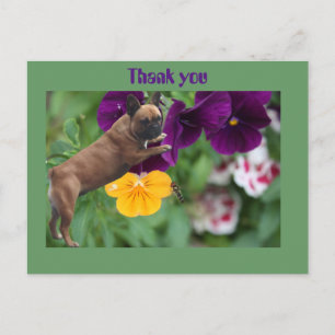 Französische Bulldogge Postkarte
