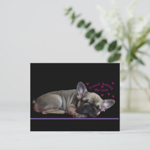 Französische Bulldogge  Postkarte