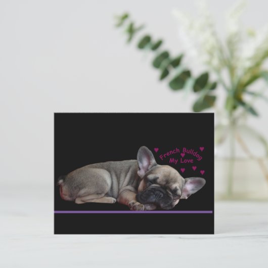 Französische Bulldogge  Postkarte (Stehend Vorderseite)