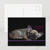 Französische Bulldogge  Postkarte (Vorne/Hinten)