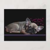 Französische Bulldogge  Postkarte (Vorderseite)