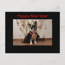 Französische Bulldogge Postkarte "Happy New Year"