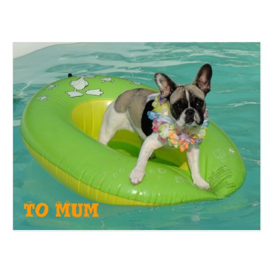 Französische Bulldogge Postkarte "To Mum"