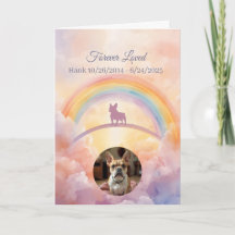 Französische Bulldogge Rainbow Bridge Beileid zum