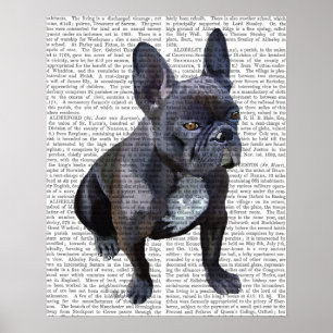 Französische Bulldogge schlicht Poster