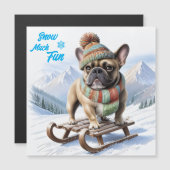 Französische Bulldogge Schlitten French Bulldog Magnetkarte (Vorne/Hinten)