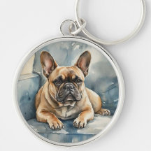 Französische Bulldogge