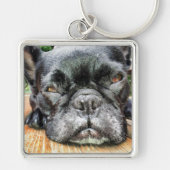 Französische Bulldogge Schlüsselanhänger (Vorne)