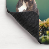 Französische Bulldogge Schmetterling French Bulldo Mousepad (Ecke)