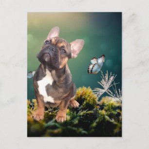 Französische Bulldogge Schmetterling French Bulldo Postkarte
