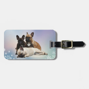 Französische Bulldogge Schnee French Bulldog Gepäckanhänger