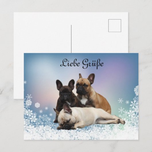 Französische Bulldogge Schnee French Bulldog Postkarte (Vorne/Hinten)