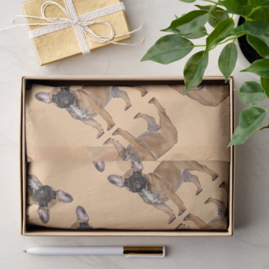 Französische Bulldogge  Seidenpapier (Geschenk)
