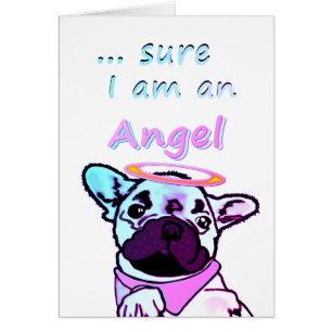 Französische Bulldogge Sicher Engel French Bulldog