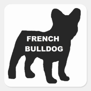 französische Bulldogge-Silhouette Quadratischer Aufkleber