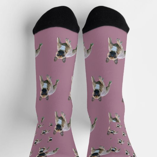 Französische Bulldogge  Socken (Oben)