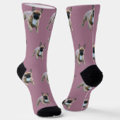 Französische Bulldogge  Socken (Gewinkelt)