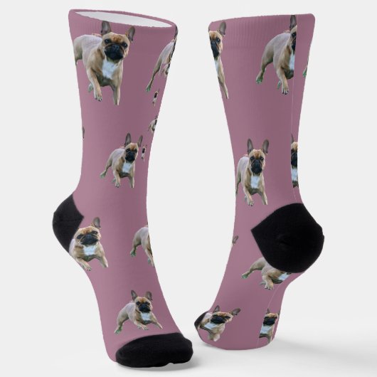 Französische Bulldogge  Socken (Gewinkelt)
