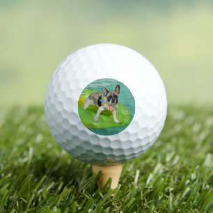 Französische Bulldogge Sommer French Bulldog Golfball