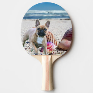 Französische Bulldogge Sommer French Bulldog Tischtennis Schläger