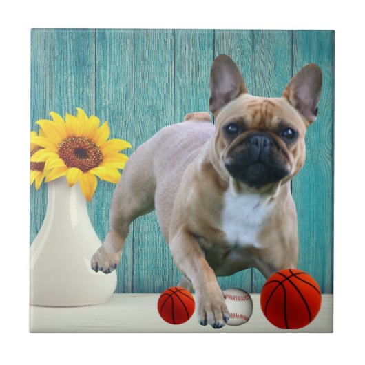 Französische Bulldogge Sonnenblume French Bulldog Fliese (Vorderseite)