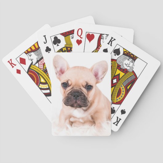 Französische Bulldogge Spielkarten (Rückseite)