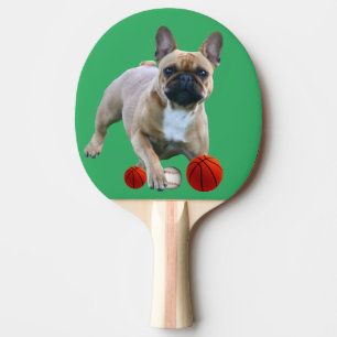 Französische Bulldogge Sprung French Bulldog  Tischtennis Schläger