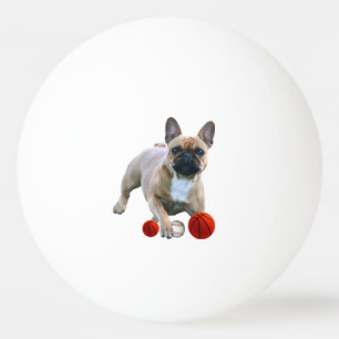 Französische Bulldogge Sprung French Bulldog  Tischtennisball