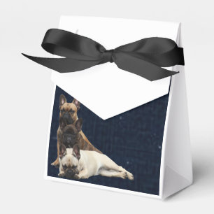 Französische Bulldogge Sterne French Bulldog Geschenkschachtel