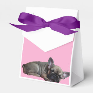 Französische Bulldogge Sterne French Bulldog Geschenkschachtel