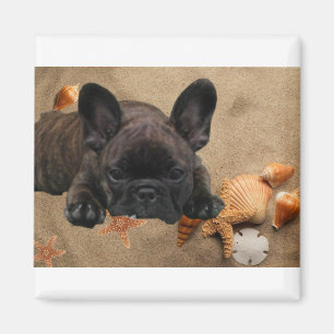 Französische Bulldogge Strand French Bulldog  Magnet